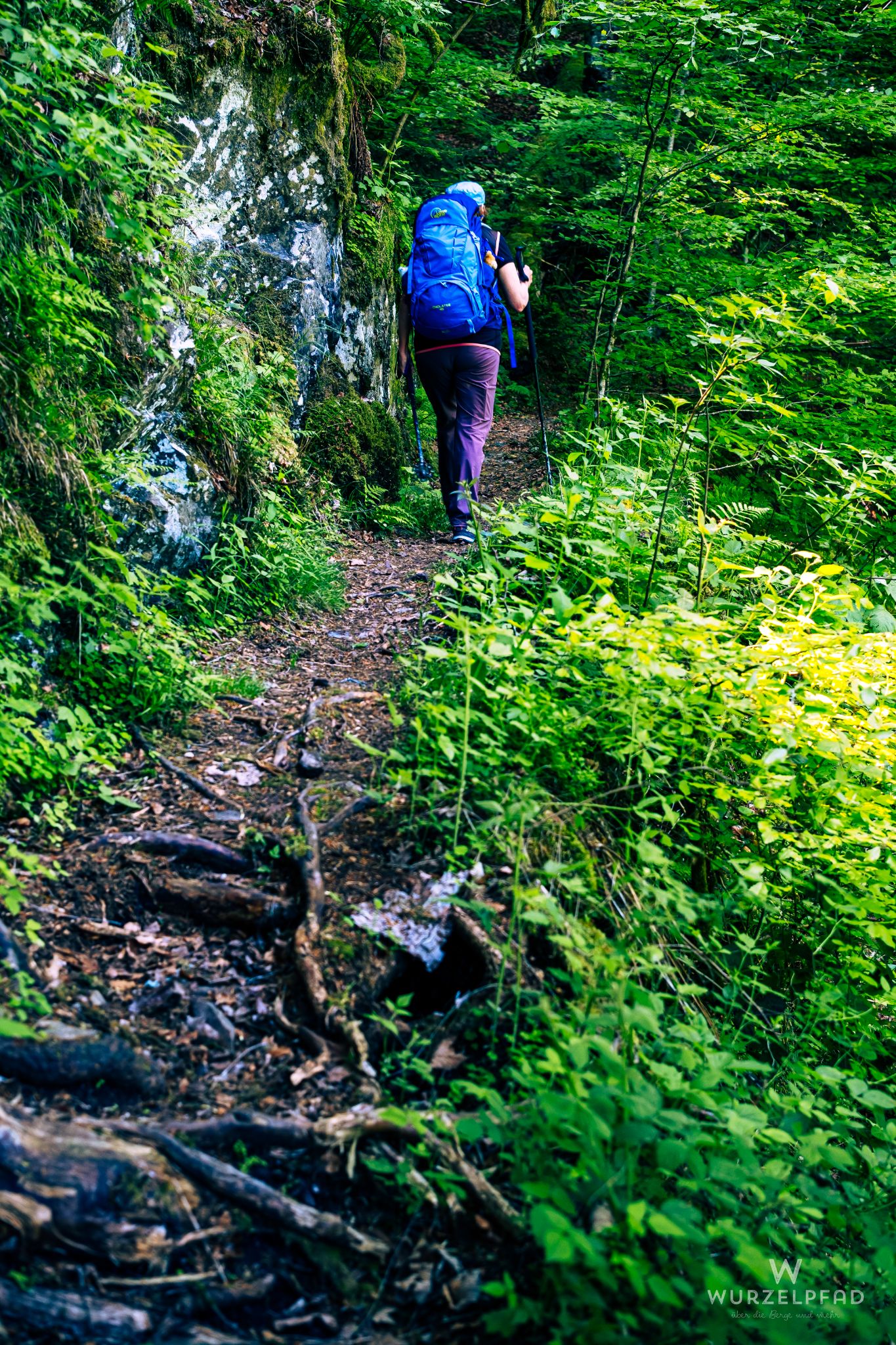 Schmale Pfade in der Wehraschlucht